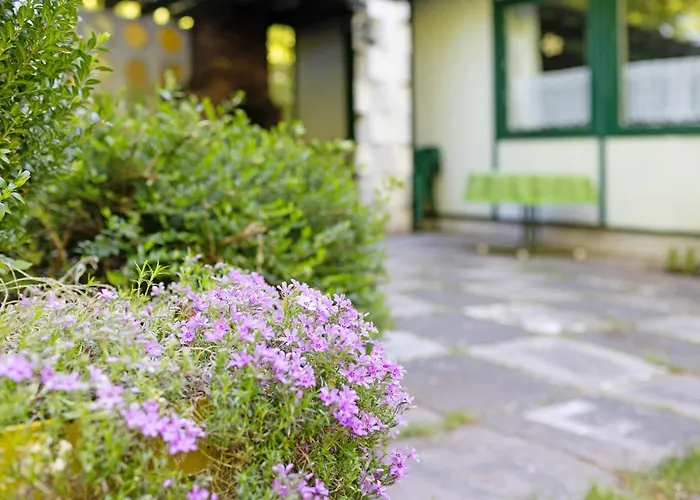 Ferienbungalow 2 In Holiday park